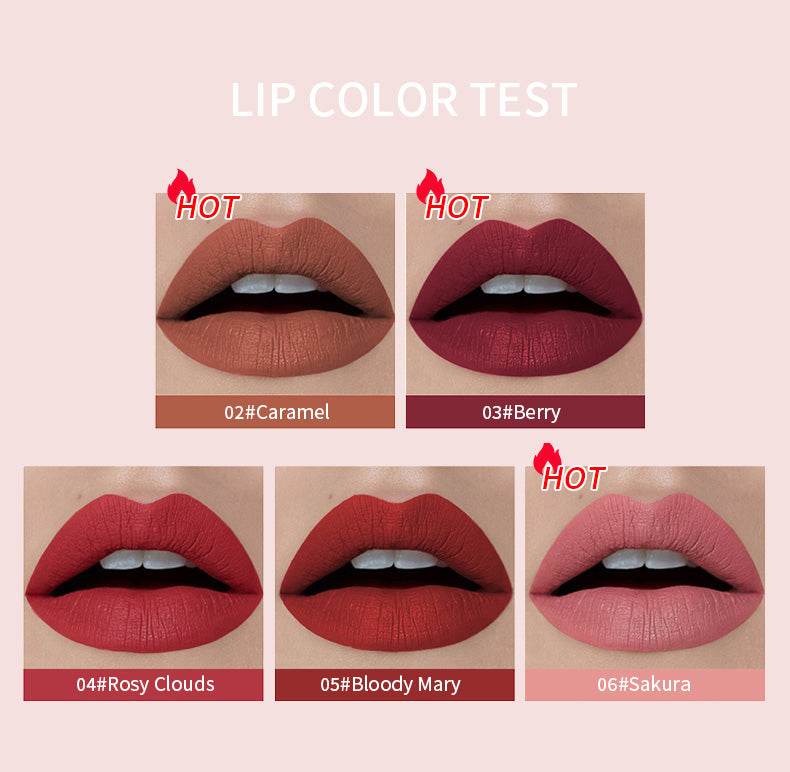 Liquid Lip Gloss | Matte Liquid Lip Gloss | Zelle Noir LTD